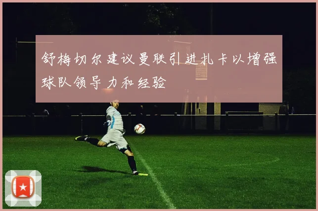 舒梅切尔建议曼联引进扎卡以增强球队领导力和经验